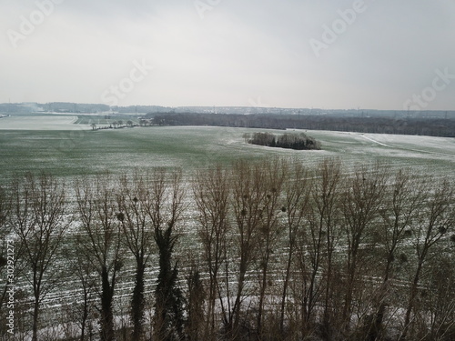 Fototapeta Naklejka Na Ścianę i Meble -  vue aérienne d'un champ d'herbe verte à moité sous la neige avec forêt d'hiver en fond  et arbres sans feuilles en premier planpar temps gris