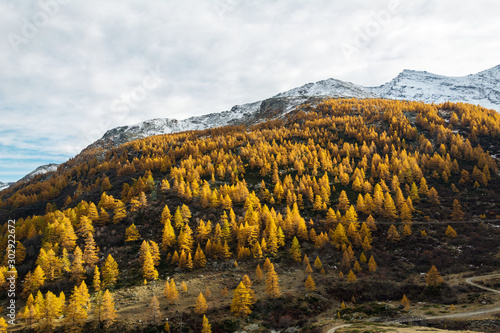 scenic autumn mountains landscape. Gran Paradiso National Park. Italy
