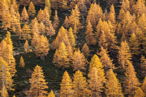 scenic autumn mountains landscape. Gran Paradiso National Park. Italy
