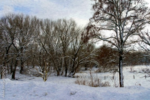 Oil paintings landscape  winter in forest. Fine art  trees in winter