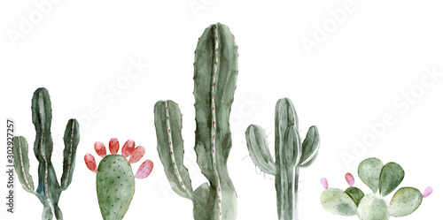 Set of watercolor cactus illustrations on white background in vector format. Hand drawing blooming plants set for office indoor. Blossom Mexican cactus from desert.