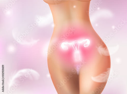 Reproductive System Background