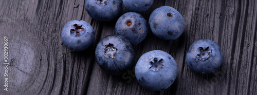 Banner blueberry large ripe fresh close-up.