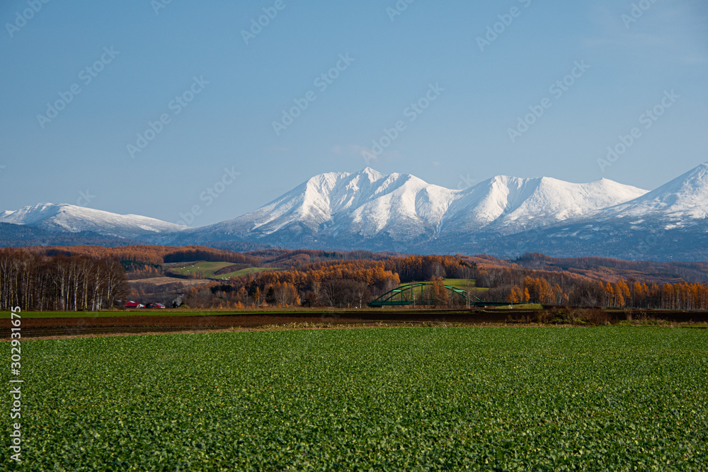Fototapeta premium 初冬の午後の風景