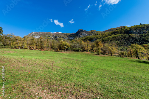 Meadows and woods in autumn in Italian Alps (Monte Misone) on the shore of the Lake Tenno. Trento province, Trentino-Alto Adige, Italy, Europe photo