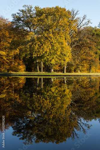 Autumn colors trees with reflection in the water, various fall colors tree line © OldskoolPhotography