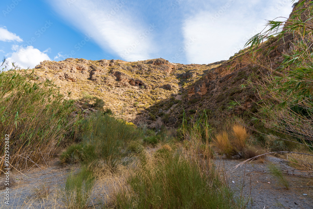 Photo of the Alcolea River as it passes through Lucainena Photo of the Alcolea River as it passes through Lucainena