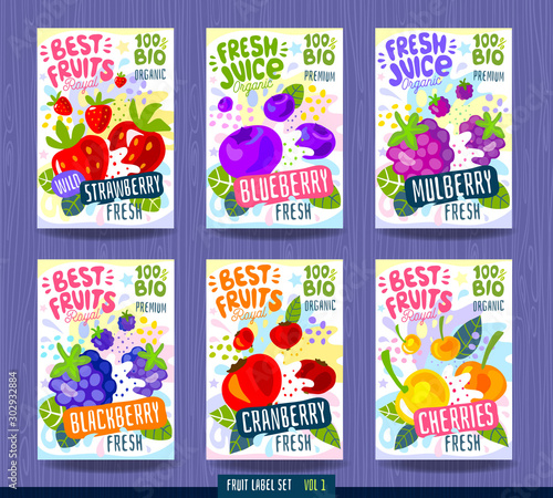 Abstract splash Food label template. Colorful brush stroke. Fruits, spices, vegetables package design. Cherries strawberry, blueberr, cranberry, blackberry, mulberry. Organic fresh Drawing vector