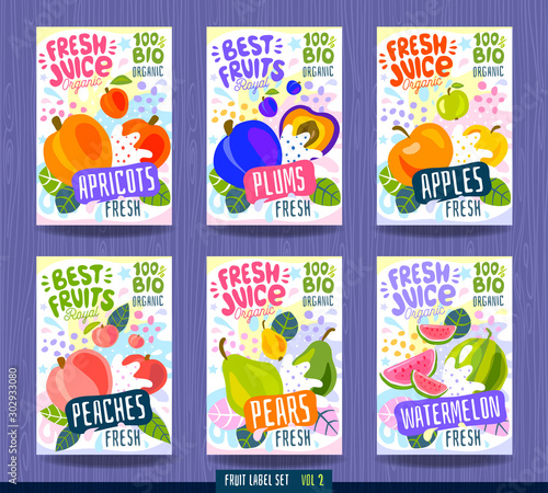 Abstract splash Food label template. Colorful brush stroke. Fruits, spices, vegetables package design. Watermelon, pear, apple, plum, peach, apricot Organic fresh Drawing vector illustration