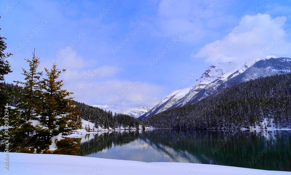 Amérique du Nord, Canada, Alberta, parc national de Jasper
