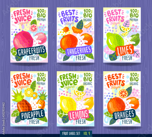 Abstract splash Food label template. Colorful brush stroke. Fruits, spices, vegetables package design. Pineapple, orange, lemon, tangerine, lime, grapefruit Organic fresh Drawing vector illustration