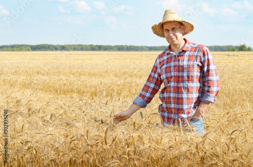 Farmer in straw hat touching wheat spikelets by his hand at cornfield