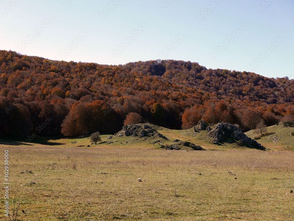Obraz premium i caldi colori della natura in autunno