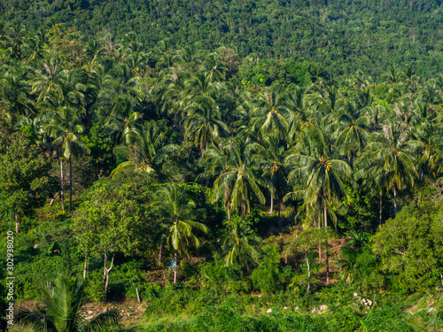 hills in the jungle with clouds in Thailand 