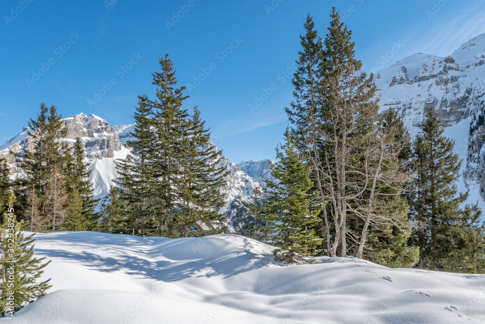 Verschneite Winterlandschaft im Berner Oberland Verschneite Winterlandschaft im Berner Oberland