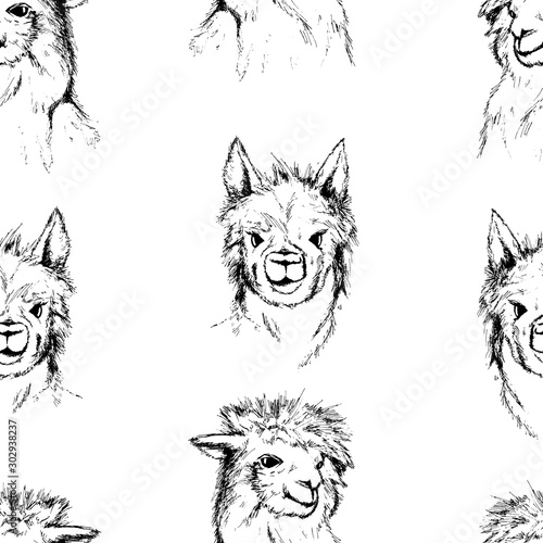 Llama sketch seamless pattern. Animal background black and white