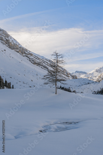 Verschneite Winterlandschaft im Berner Oberland © Stephanie Jud