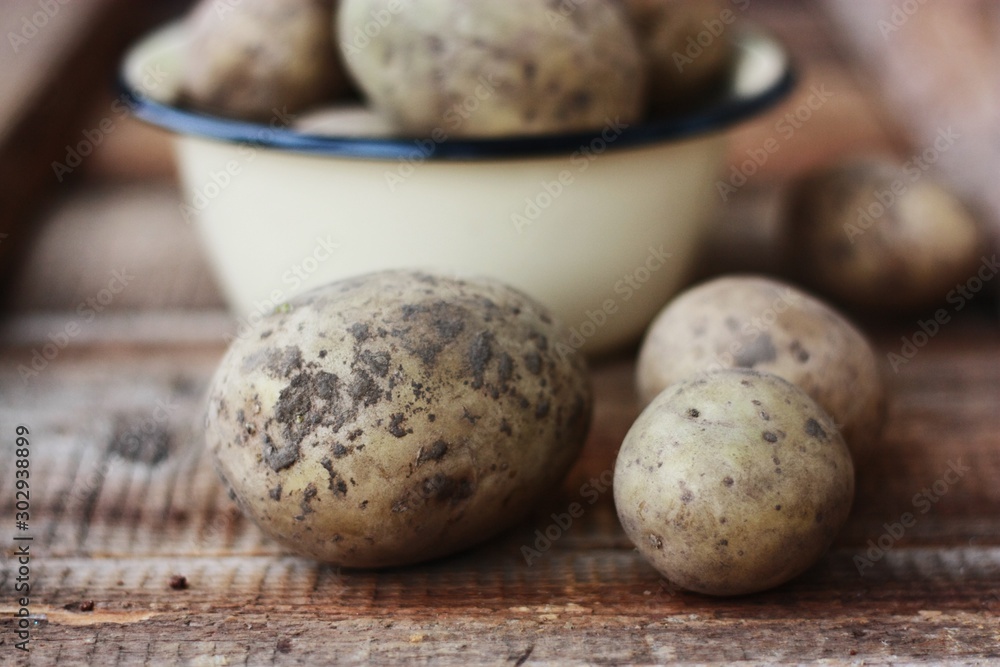 Fresh potatoes in a bowl on the table Fresh potatoes in a bowl on the table