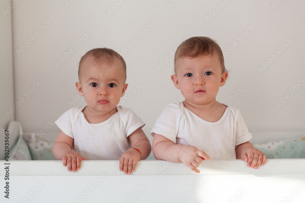 Fraternal twins sisters standing in crib. Two babies. Fraternal twins sisters standing in crib. Two babies.