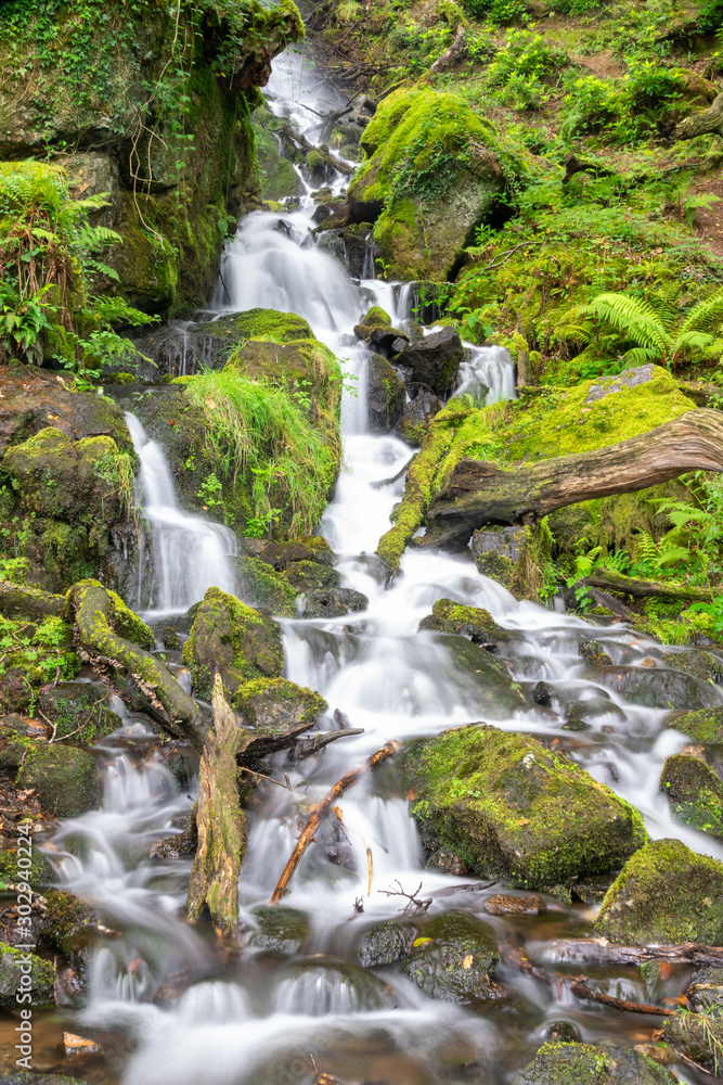 Fototapeta premium Waterfall near Burrator Reserviour, Sheepstor, Devon, UK