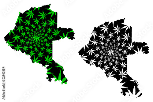 Vaupes Department (Colombia, Republic of Colombia, Departments of Colombia) map is designed cannabis leaf green and black, Vaupes map made of marijuana (marihuana,THC) foliage.... photo