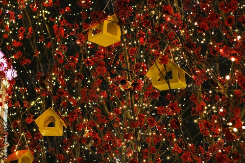 Christmas bullfinch