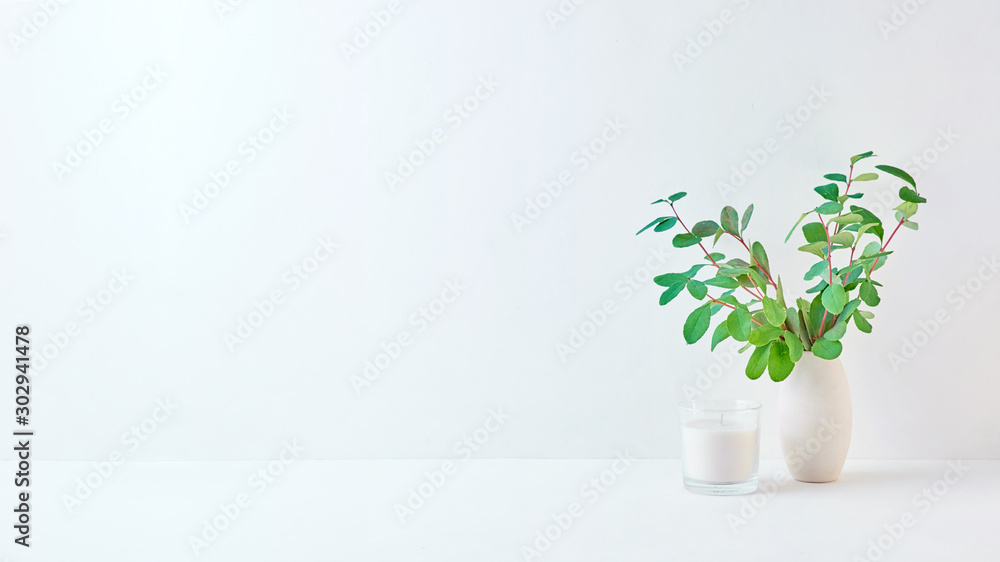 Fototapeta Home interior with decor elements. Branches with green leaves in a vase on a light background
