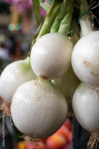 Fresh harvested white onion for sale on weekly spanish market in Andalusia  Spain