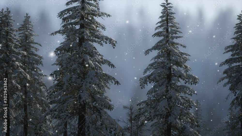Misty fog in pine forest on mountain slopes Misty fog in pine forest on mountain slopes