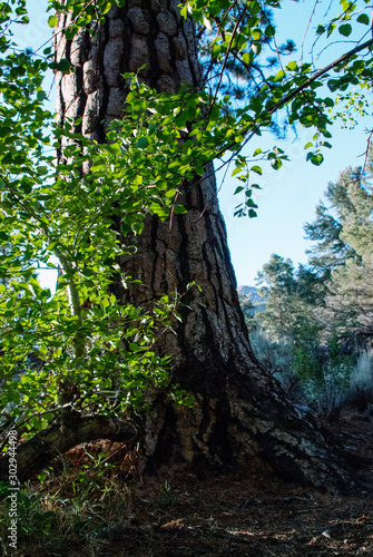 Fotografia Lensbaby lens blur nature mountain and river wilderness photographs