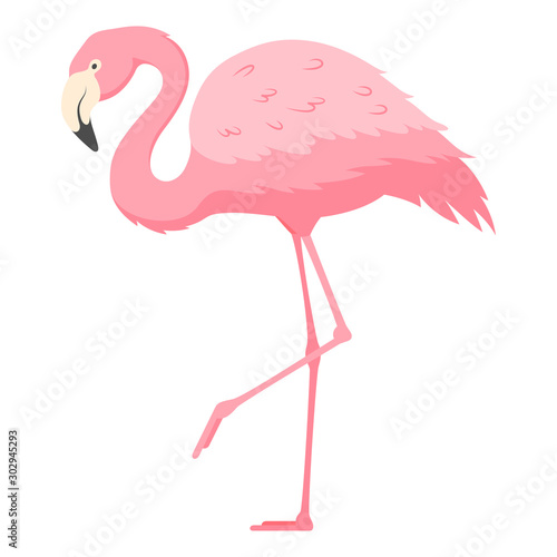 Flamingo standing on one leg flat vector illustration