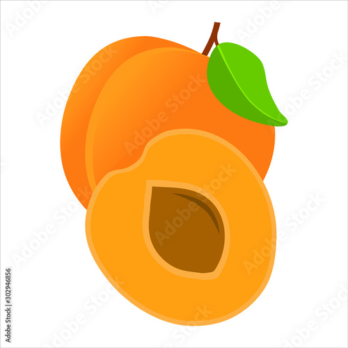 Illustration vectorielle d’un fruit entier et coupé : l’abricot.