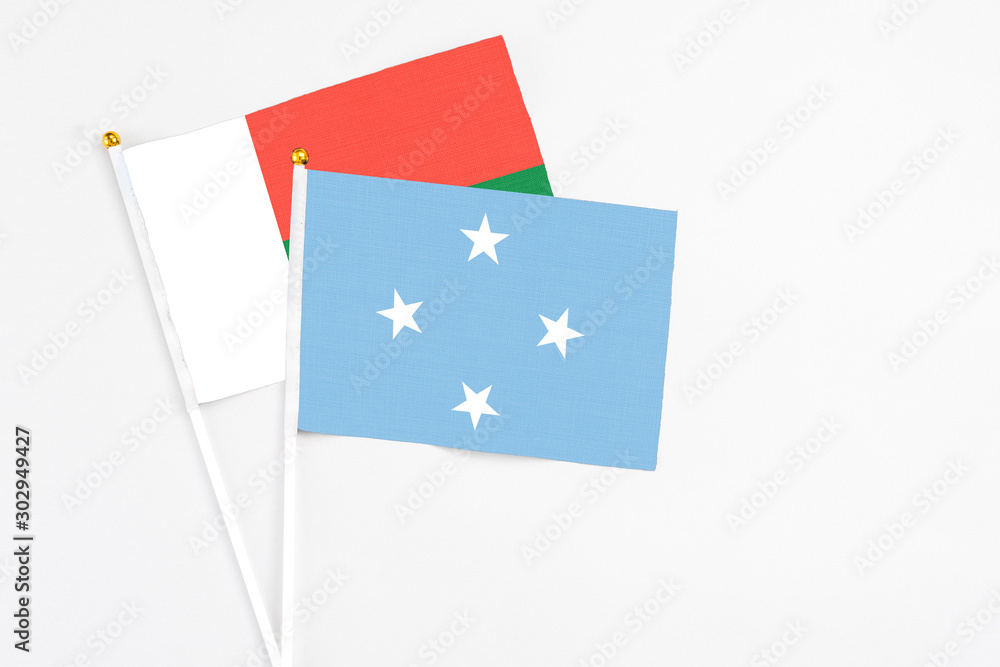 Micronesia and Madagascar stick flags on white background. High quality fabric, miniature national flag. Peaceful global concept.White floor for copy space. Micronesia and Madagascar stick flags on white background. High quality fabric, miniature national flag. Peaceful global concept.White floor for copy space.
