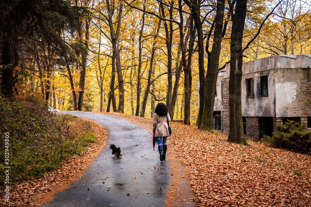 Fototapeta premium Kobieta idzie w deszczu na leśnej drodze asfaltowej jesienią. Droga obok jeziora Tresnja w Serbii.