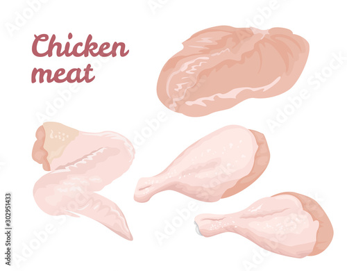 Raw chicken meat set. Chicken legs, wing and fillet isolated on white background. Vector illustration of fresh meat in cartoon simple flat style.