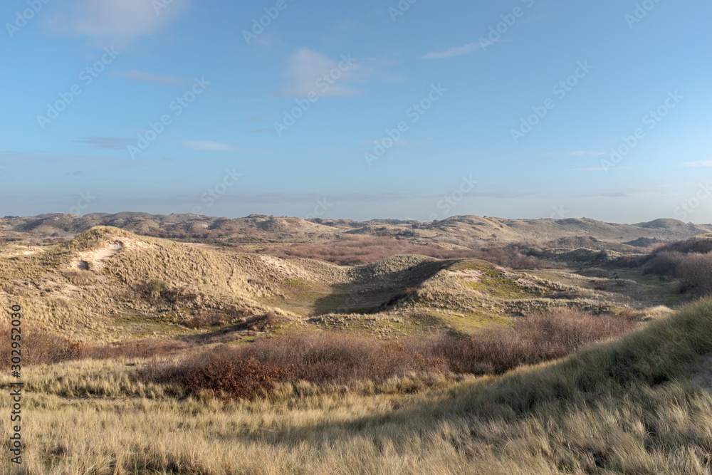 View from a peak on a dune landscape View from a peak on a dune landscape