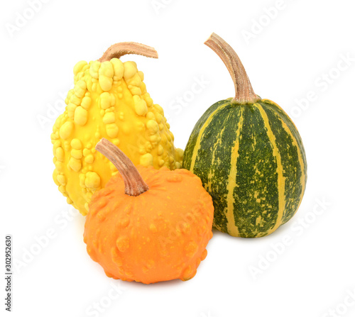 Three yellow, orange and striped green ornamental gourds