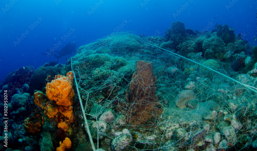 Fototapeta premium filet de peche sur recifs coralliens
