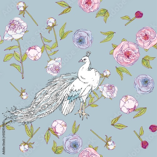 White peacock and leaves, stems and inflorescences of peonies vector illustration. Picture with pink, blue and white flowers.