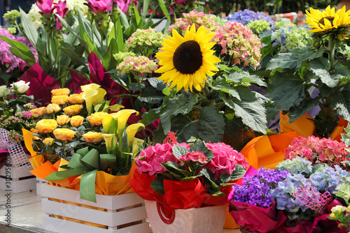 plants and flower arrangements for sale