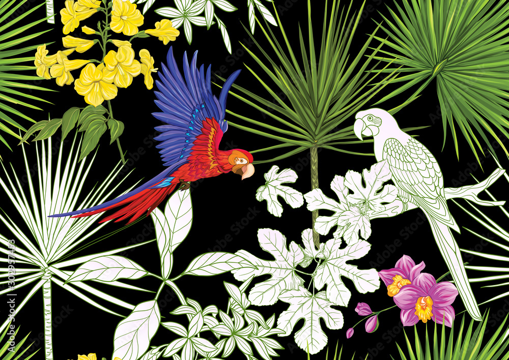 Obraz premium Tropical plants and flowers and birds. Seamless pattern, background. Colored and outline design. Vector illustration. Isolated on black background..