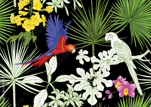 Tropical plants and flowers and birds. Seamless pattern, background. Colored and outline design. Vector illustration. Isolated on black background..
