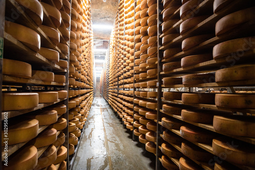 Canvas Print milk cheese, stored in a wooden shelves and left to mature