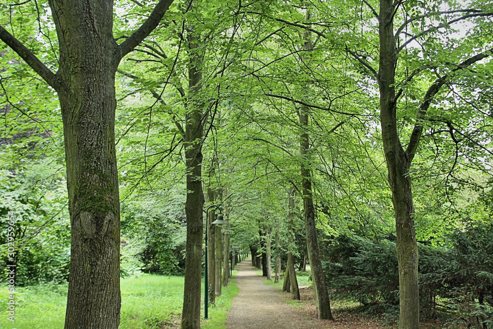 Wanderweg Hutberg Wanderweg Hutberg