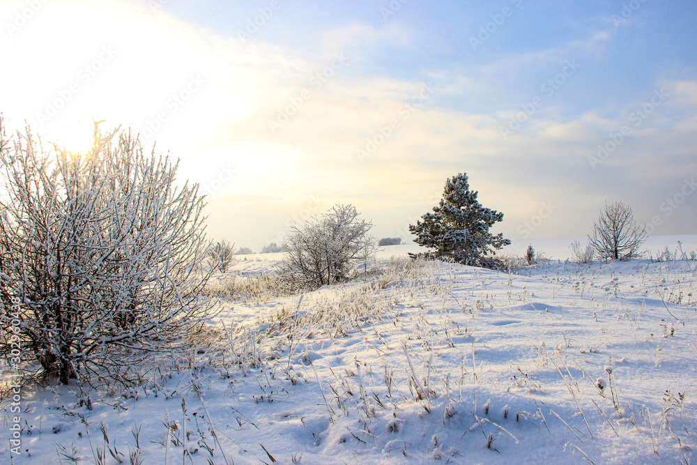 Winter fairy tale Winter fairy tale