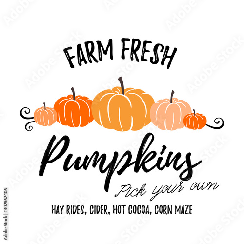 Farm Fresh Pumpkins vector illustration art
