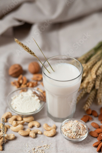 Fresh vegan alternative milk in big glass. Closeup, white background. Healthy vegetarian food concept. Almond, cachou, walnut, oatmeal, coconut to illustrate raw ingredients. Copy space for text