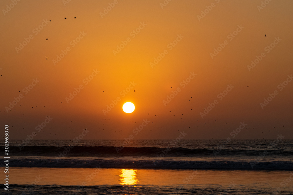Sunset over the Atlantic Ocean with flocks of bird silhouette, Agadir, Morocco