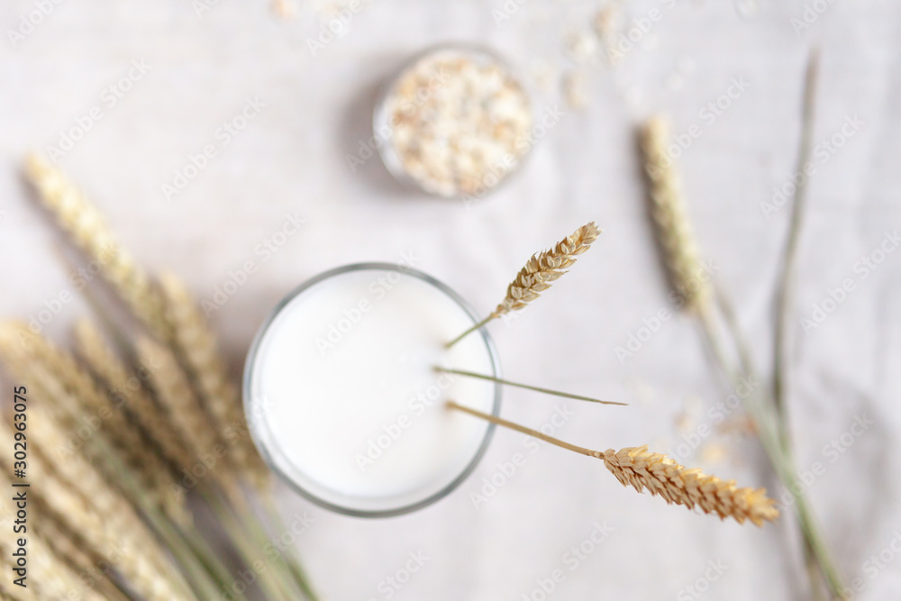 Fresh vegan oat milk in big glass. Closeup, white wooden background. Healthy vegetarian food concept. Oatmeal in a bowl and spica to illustrate raw ingredients. Copy space for text Fresh vegan oat milk in big glass. Closeup, white wooden background. Healthy vegetarian food concept. Oatmeal in a bowl and spica to illustrate raw ingredients. Copy space for text