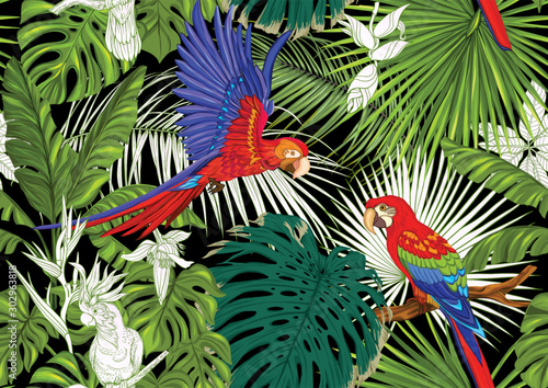 Tropical plants and flowers and birds. Seamless pattern, background. Colored and outline design. Vector illustration. Isolated on black background..